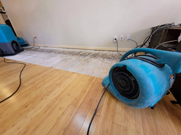 Professional Flood Damage Cleanup technician working in Altamont, IL